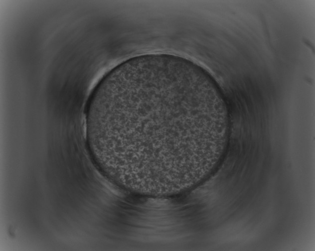 X0000093131509200710171256