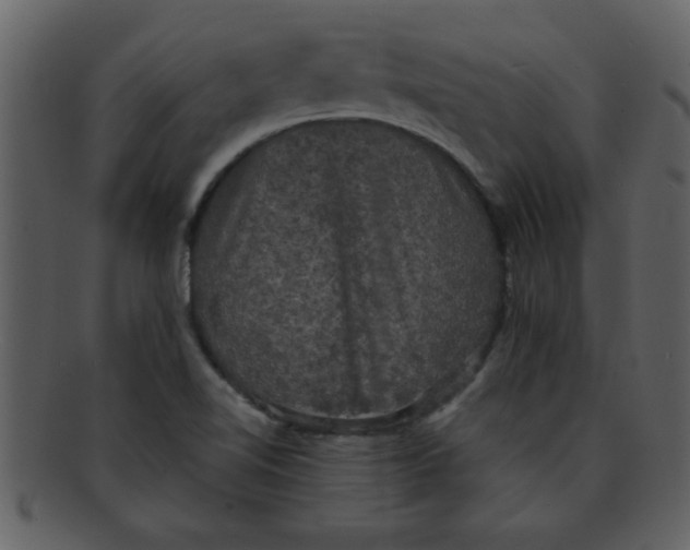 X0000093131510200710171256