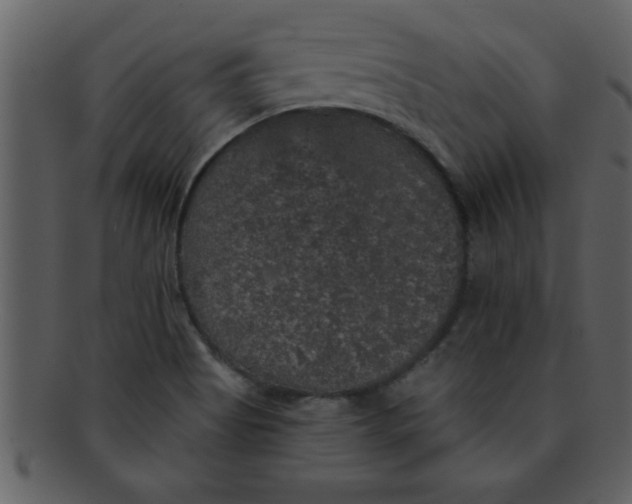 X0000093131513200710171256