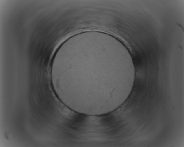 X0000093131514200710171256