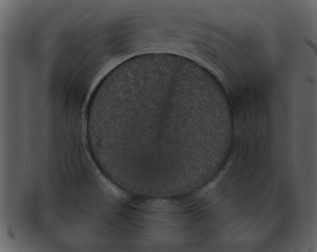 X0000093131517200710171256