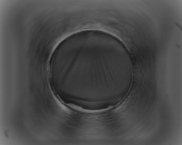 X0000093131519200710171256