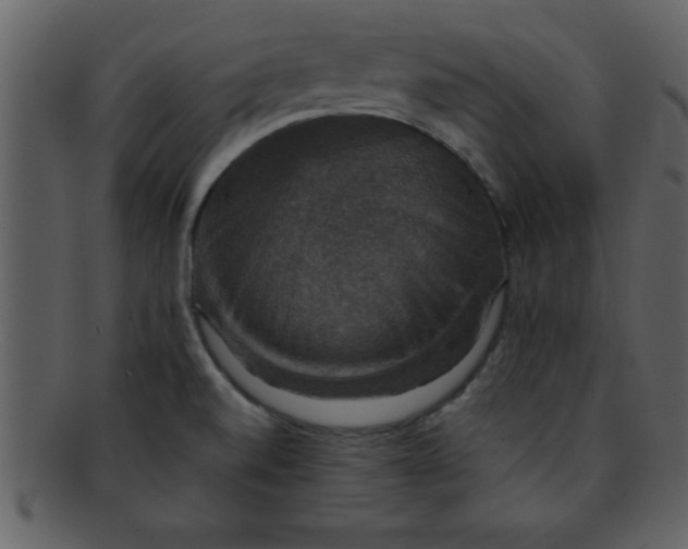 X0000093131520200710171256