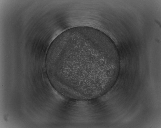 X0000093131521200710171256