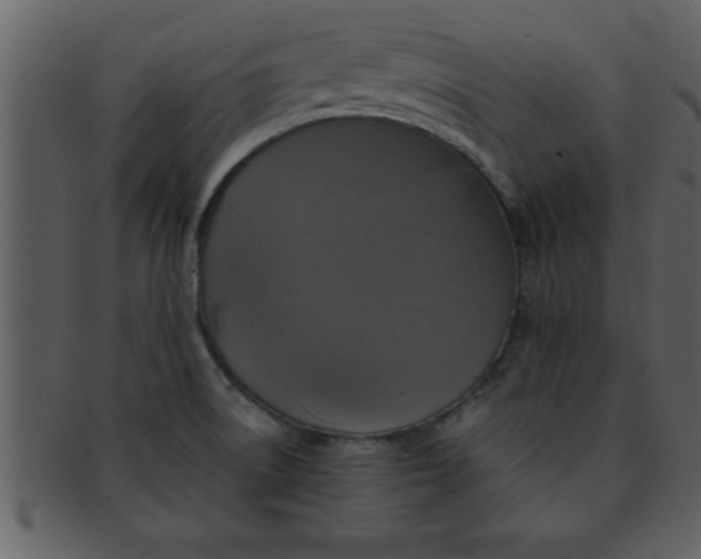 X0000093131522200710171256