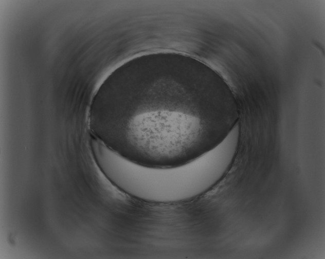 X0000093131524200710171256