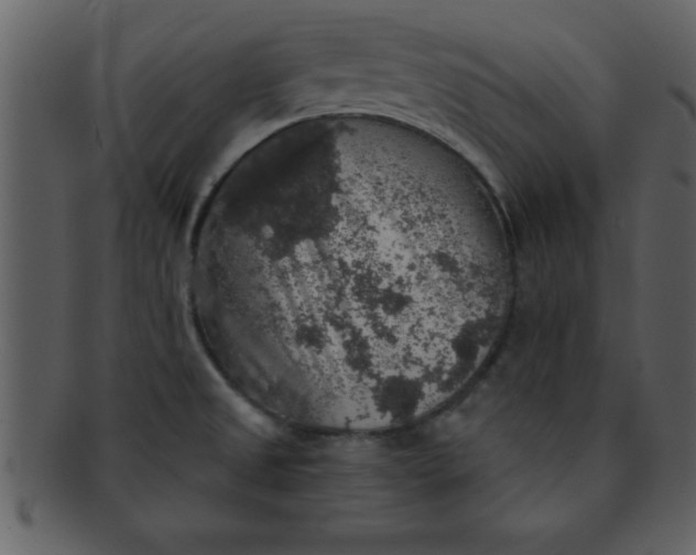 X0000093131525200710171256