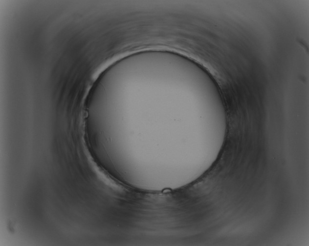 X0000093131526200710171256