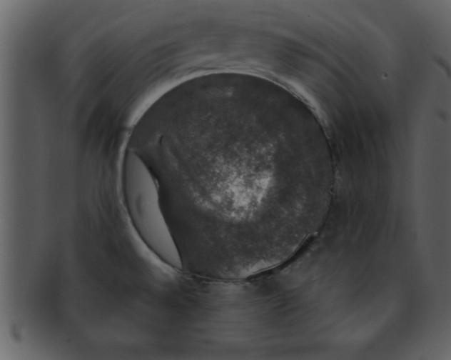 X0000093131528200710171256