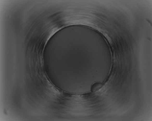 X0000093131529200710171256