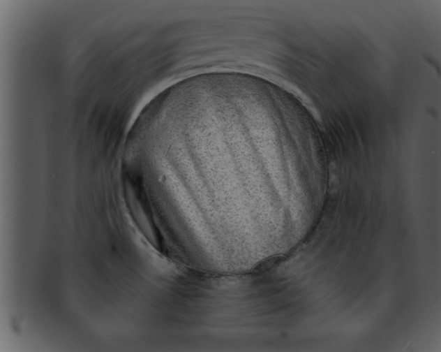 X0000093131530200710171256