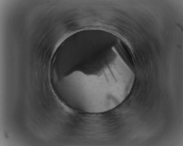 X0000093131533200710171256