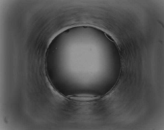 X0000093131534200710171256