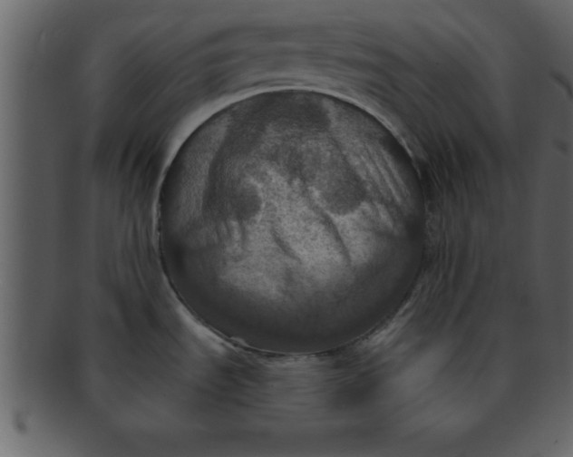 X0000093131535200710171256