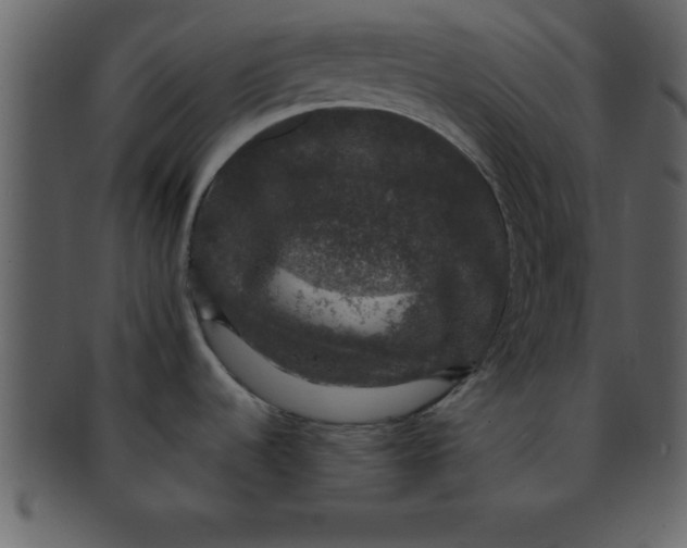 X0000093131536200710171256