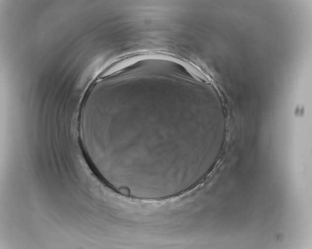 X0000093130002200710241332