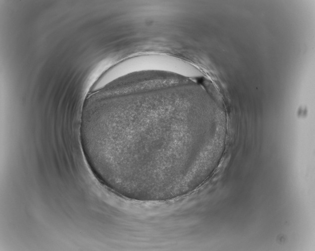 X0000093130003200710241332