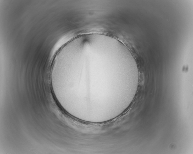 X0000093130004200710241332