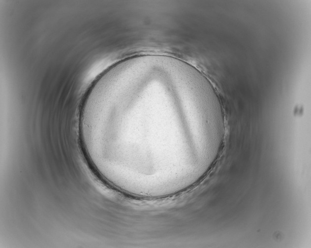X0000093130005200710241332
