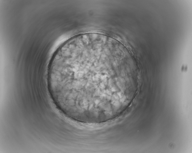 X0000093130006200710241332