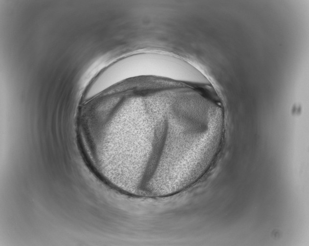 X0000093130007200710241332