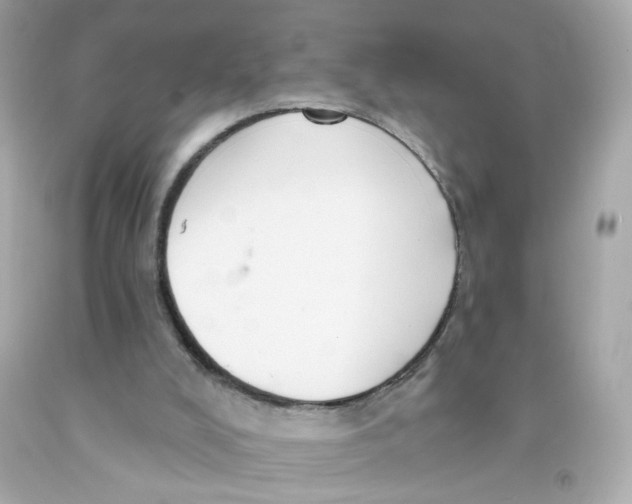 X0000093130008200710241332