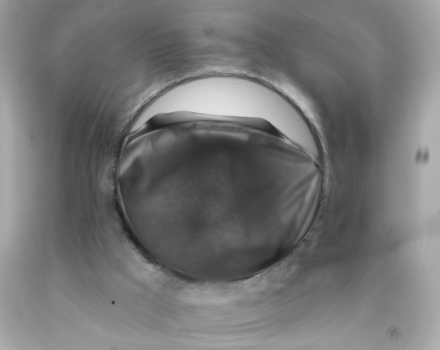 X0000093130009200710241332