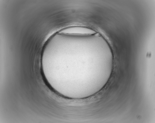 X0000093130011200710241332