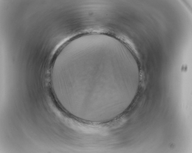 X0000093130012200710241332