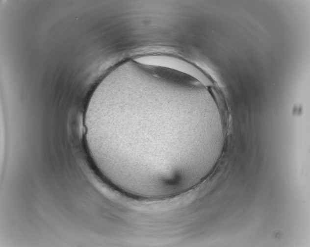 X0000093130013200710241332