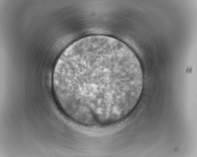 X0000093130014200710241332