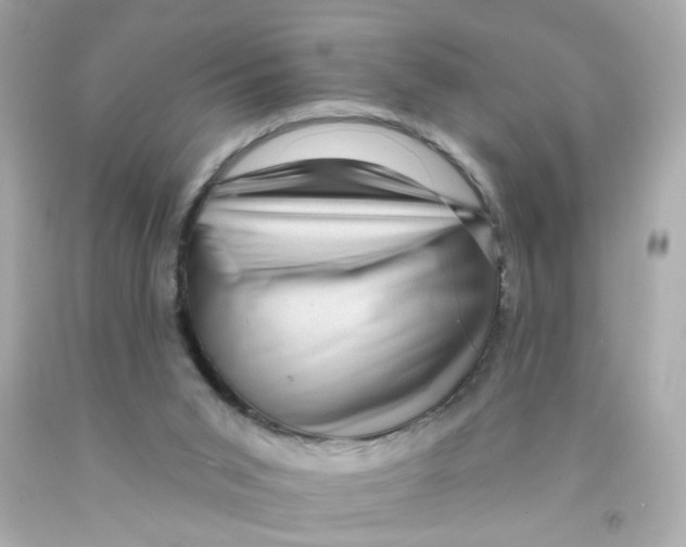 X0000093130015200710241332