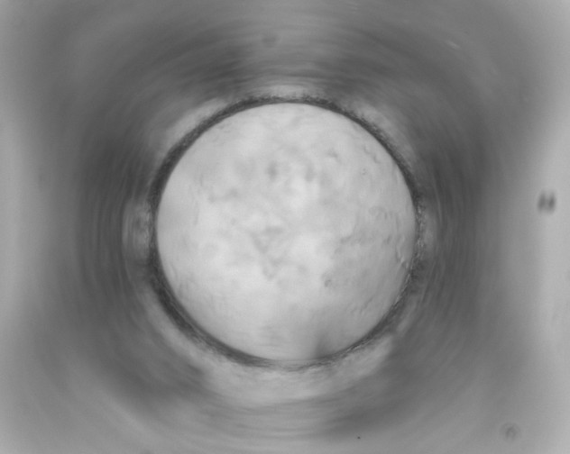 X0000093130016200710241332