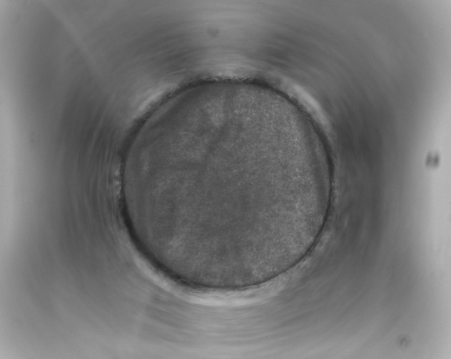 X0000093130017200710241332