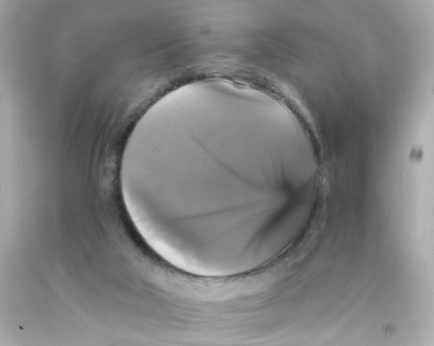 X0000093130018200710241331