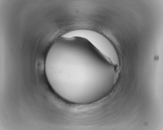 X0000093130021200710241331