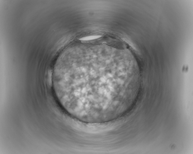 X0000093130022200710241331