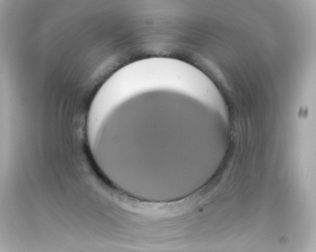 X0000093130023200710241331