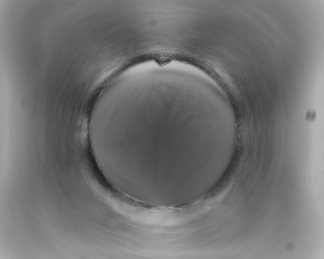 X0000093130024200710241331