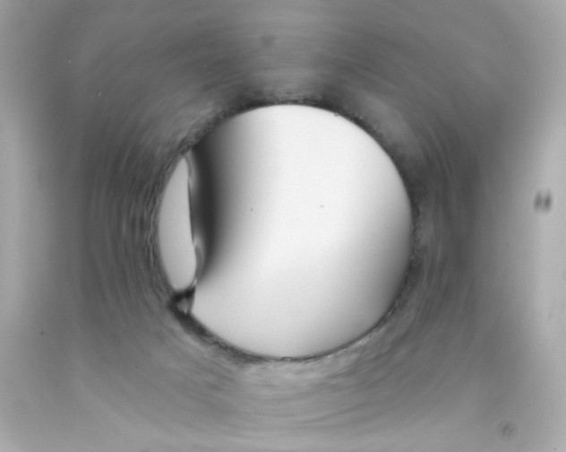 X0000093130025200710241331