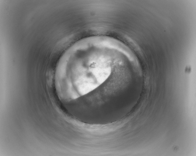 X0000093130026200710241331