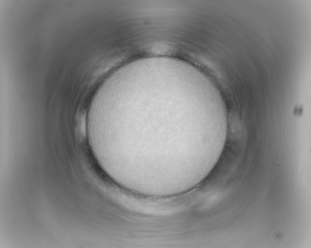 X0000093130028200710241331