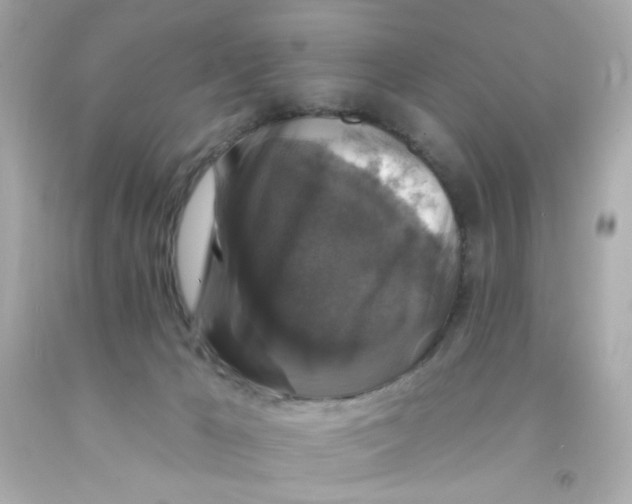 X0000093130029200710241331