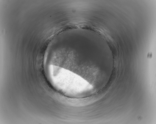 X0000093130030200710241331