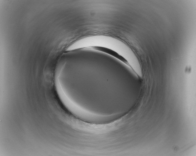 X0000093130031200710241331