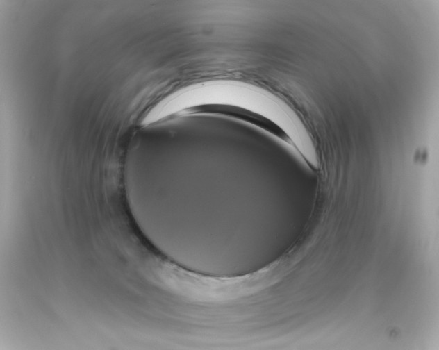 X0000093130035200710241331