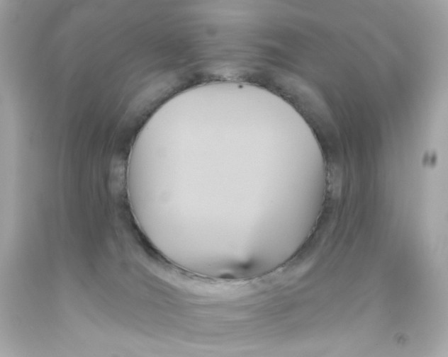 X0000093130036200710241331