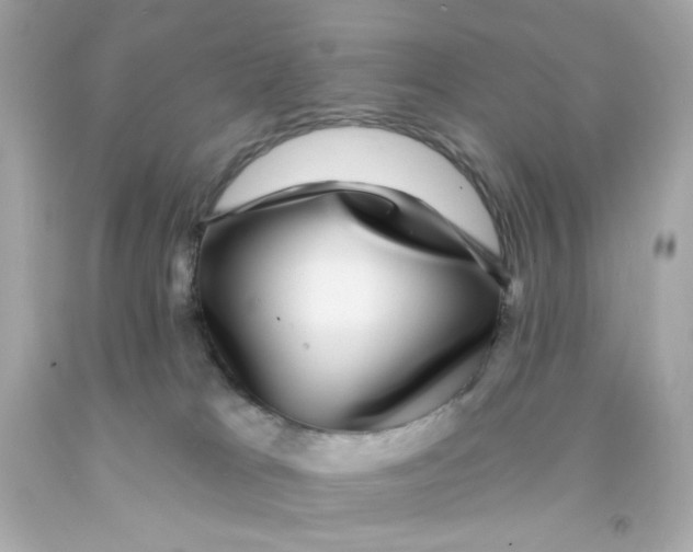 X0000093130037200710241331