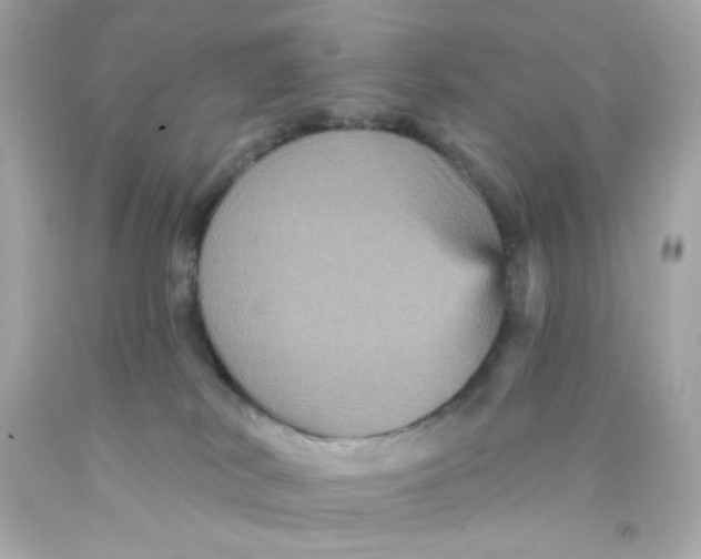 X0000093130038200710241331