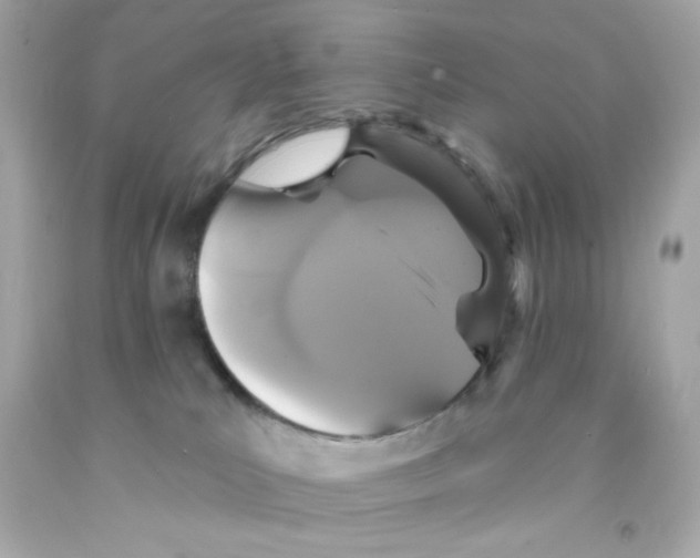 X0000093130039200710241331
